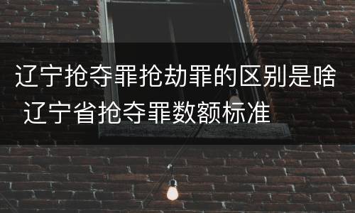 辽宁抢夺罪抢劫罪的区别是啥 辽宁省抢夺罪数额标准