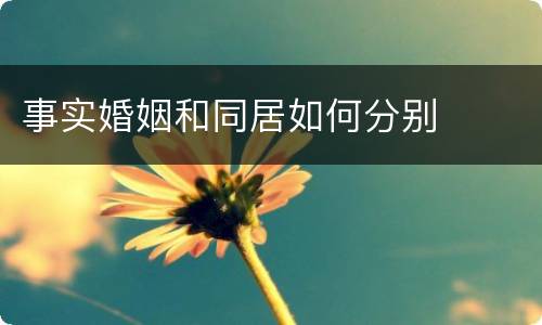 事实婚姻和同居如何分别
