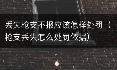丢失枪支不报应该怎样处罚（枪支丢失怎么处罚依据）