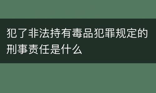 犯了非法持有毒品犯罪规定的刑事责任是什么