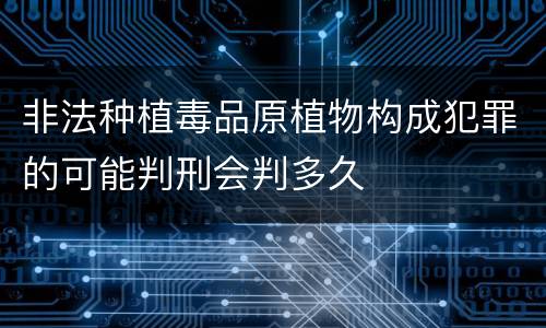 非法种植毒品原植物构成犯罪的可能判刑会判多久