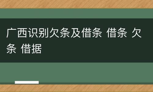 广西识别欠条及借条 借条 欠条 借据
