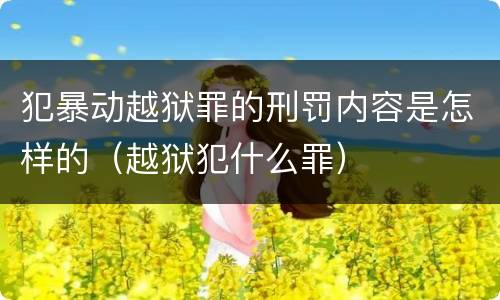 犯暴动越狱罪的刑罚内容是怎样的（越狱犯什么罪）