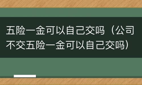 五险一金可以自己交吗（公司不交五险一金可以自己交吗）