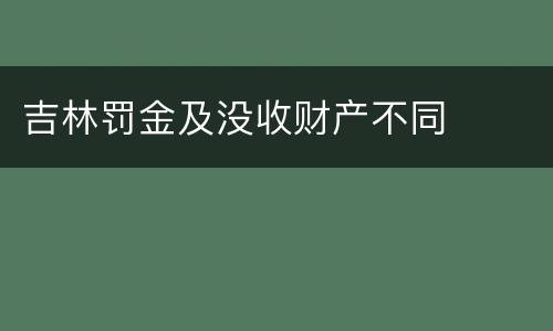 吉林罚金及没收财产不同