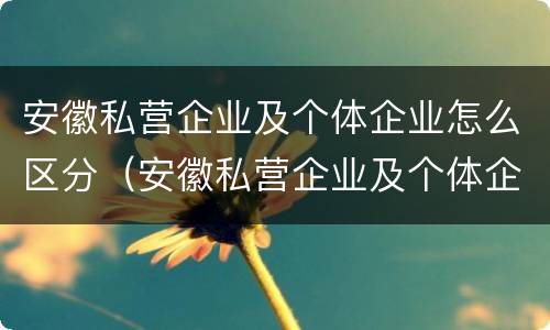 安徽私营企业及个体企业怎么区分（安徽私营企业及个体企业怎么区分的）
