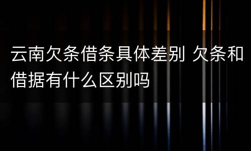 云南欠条借条具体差别 欠条和借据有什么区别吗