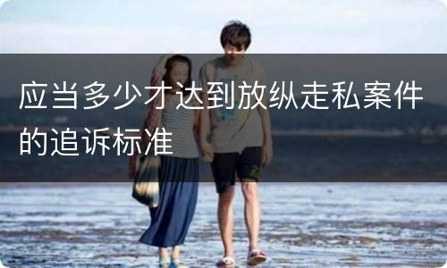 应当多少才达到放纵走私案件的追诉标准