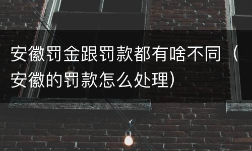 安徽罚金跟罚款都有啥不同（安徽的罚款怎么处理）