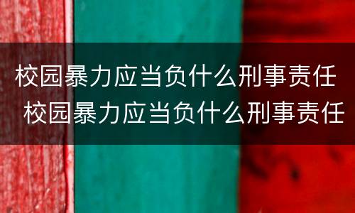 校园暴力应当负什么刑事责任 校园暴力应当负什么刑事责任呢