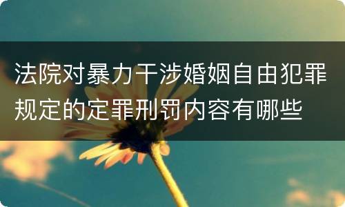 法院对暴力干涉婚姻自由犯罪规定的定罪刑罚内容有哪些