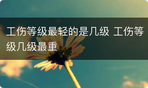 工伤等级最轻的是几级 工伤等级几级最重