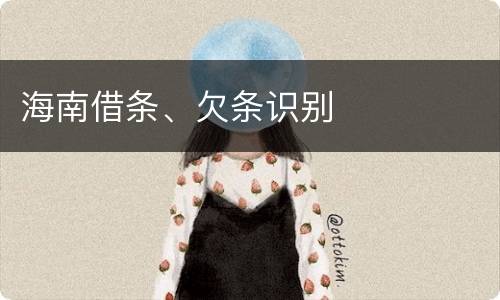海南借条、欠条识别