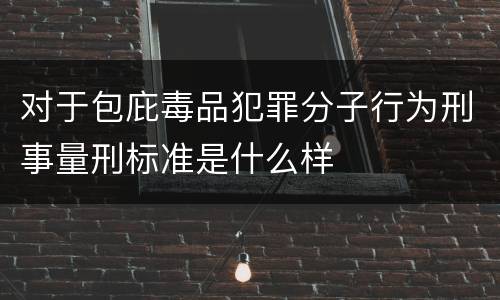 对于包庇毒品犯罪分子行为刑事量刑标准是什么样