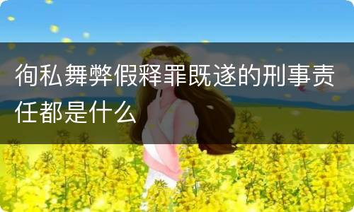 徇私舞弊假释罪既遂的刑事责任都是什么