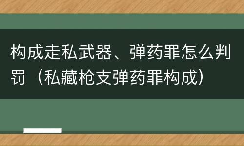 构成走私武器、弹药罪怎么判罚（私藏枪支弹药罪构成）