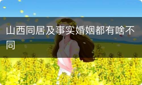 山西同居及事实婚姻都有啥不同
