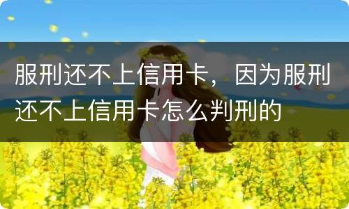 服刑还不上信用卡，因为服刑还不上信用卡怎么判刑的