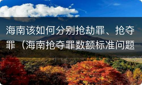海南该如何分别抢劫罪、抢夺罪（海南抢夺罪数额标准问题的规定）