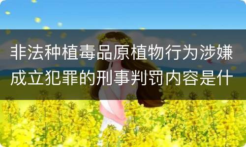 非法种植毒品原植物行为涉嫌成立犯罪的刑事判罚内容是什么