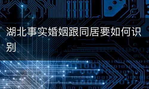 湖北事实婚姻跟同居要如何识别