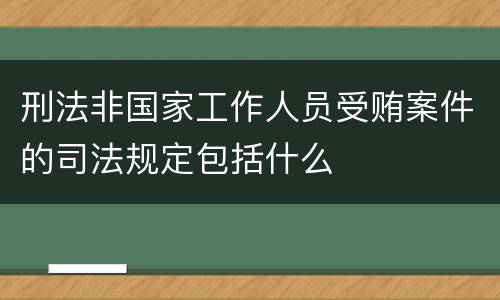 刑法非国家工作人员受贿案件的司法规定包括什么
