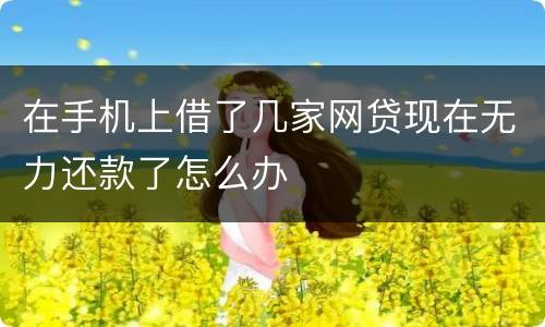 在手机上借了几家网贷现在无力还款了怎么办