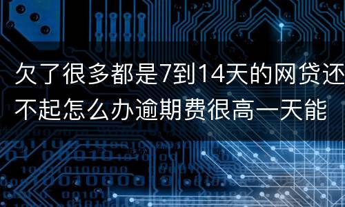 欠了很多都是7到14天的网贷还不起怎么办逾期费很高一天能张几百
