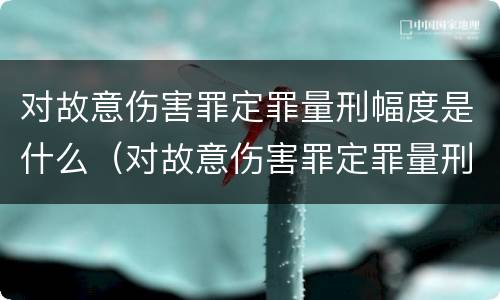 对故意伤害罪定罪量刑幅度是什么（对故意伤害罪定罪量刑幅度是什么）