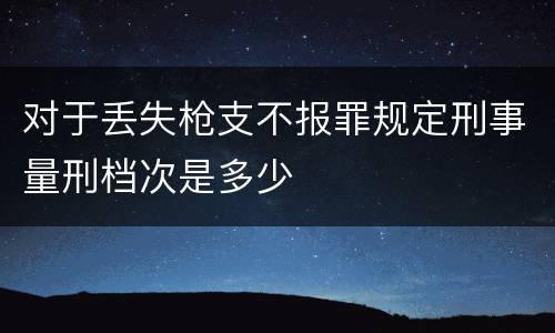 对于丢失枪支不报罪规定刑事量刑档次是多少