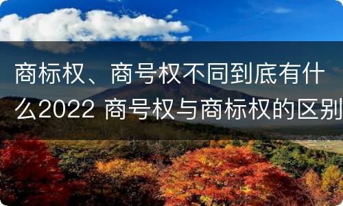 商标权、商号权不同到底有什么2022 商号权与商标权的区别