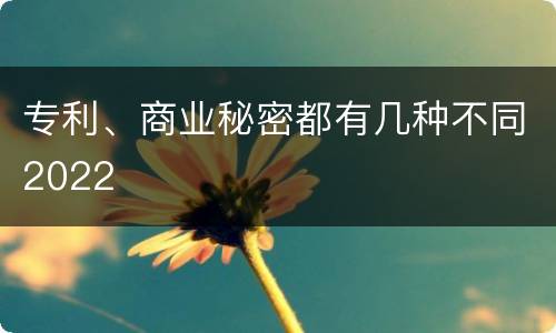 专利、商业秘密都有几种不同2022