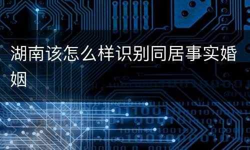 湖南该怎么样识别同居事实婚姻