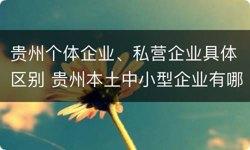 贵州个体企业、私营企业具体区别 贵州本土中小型企业有哪些