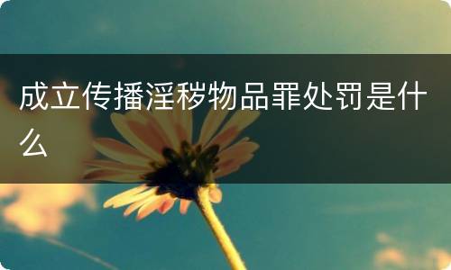 成立传播淫秽物品罪处罚是什么