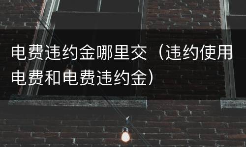 电费违约金哪里交（违约使用电费和电费违约金）