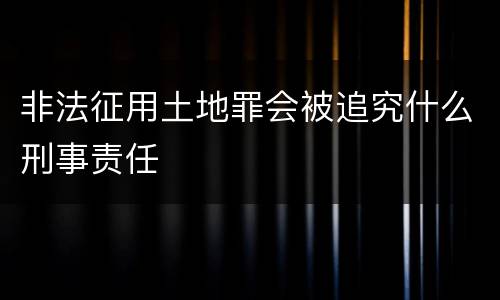 非法征用土地罪会被追究什么刑事责任