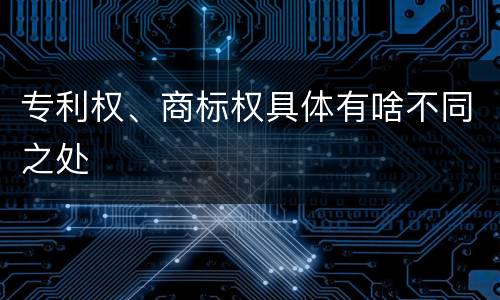 专利权、商标权具体有啥不同之处