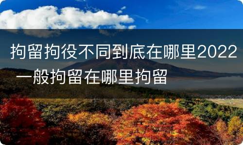 拘留拘役不同到底在哪里2022 一般拘留在哪里拘留