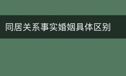同居关系事实婚姻具体区别