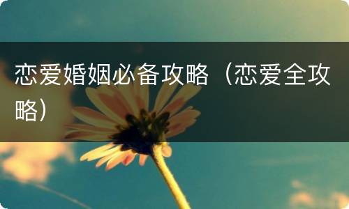 恋爱婚姻必备攻略（恋爱全攻略）