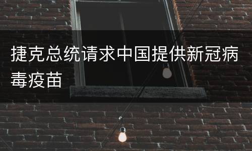捷克总统请求中国提供新冠病毒疫苗