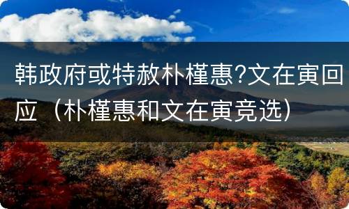 韩政府或特赦朴槿惠?文在寅回应（朴槿惠和文在寅竞选）