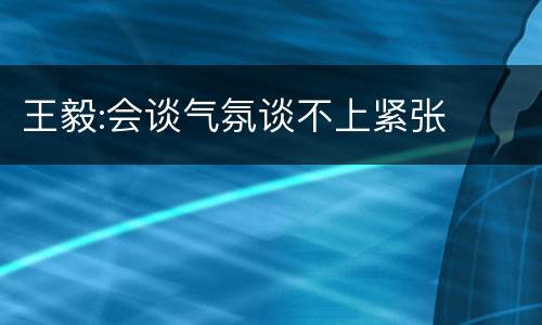 王毅:会谈气氛谈不上紧张