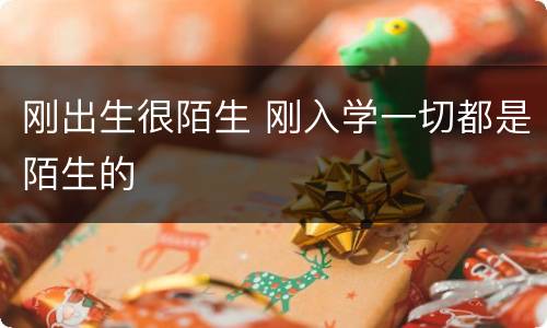 刚出生很陌生 刚入学一切都是陌生的