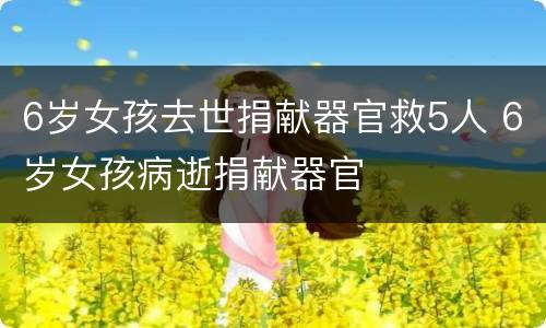 6岁女孩去世捐献器官救5人 6岁女孩病逝捐献器官