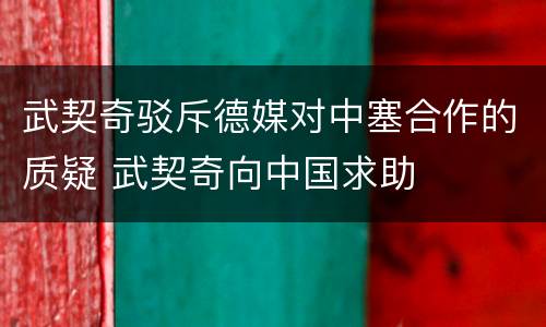 武契奇驳斥德媒对中塞合作的质疑 武契奇向中国求助