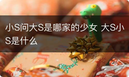 小S问大S是哪家的少女 大S小S是什么