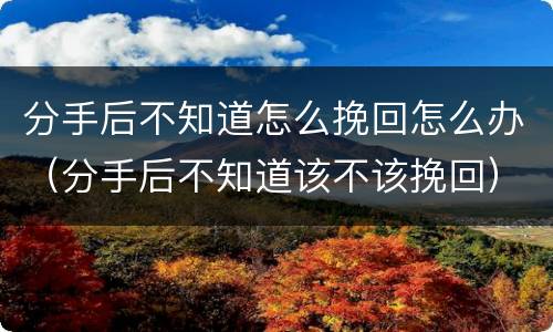 分手后不知道怎么挽回怎么办（分手后不知道该不该挽回）