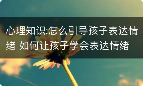 心理知识:怎么引导孩子表达情绪 如何让孩子学会表达情绪